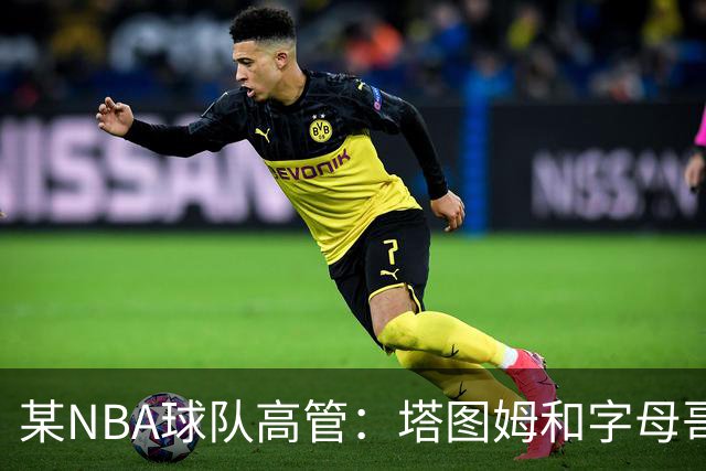 某NBA球队高管：塔图姆和字母哥的上限极高 但是球队会缺乏深度